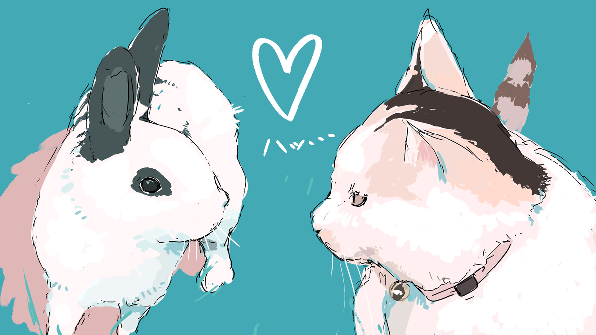 This is a pixiv picture whose title is うさぎと猫が出会う時。.