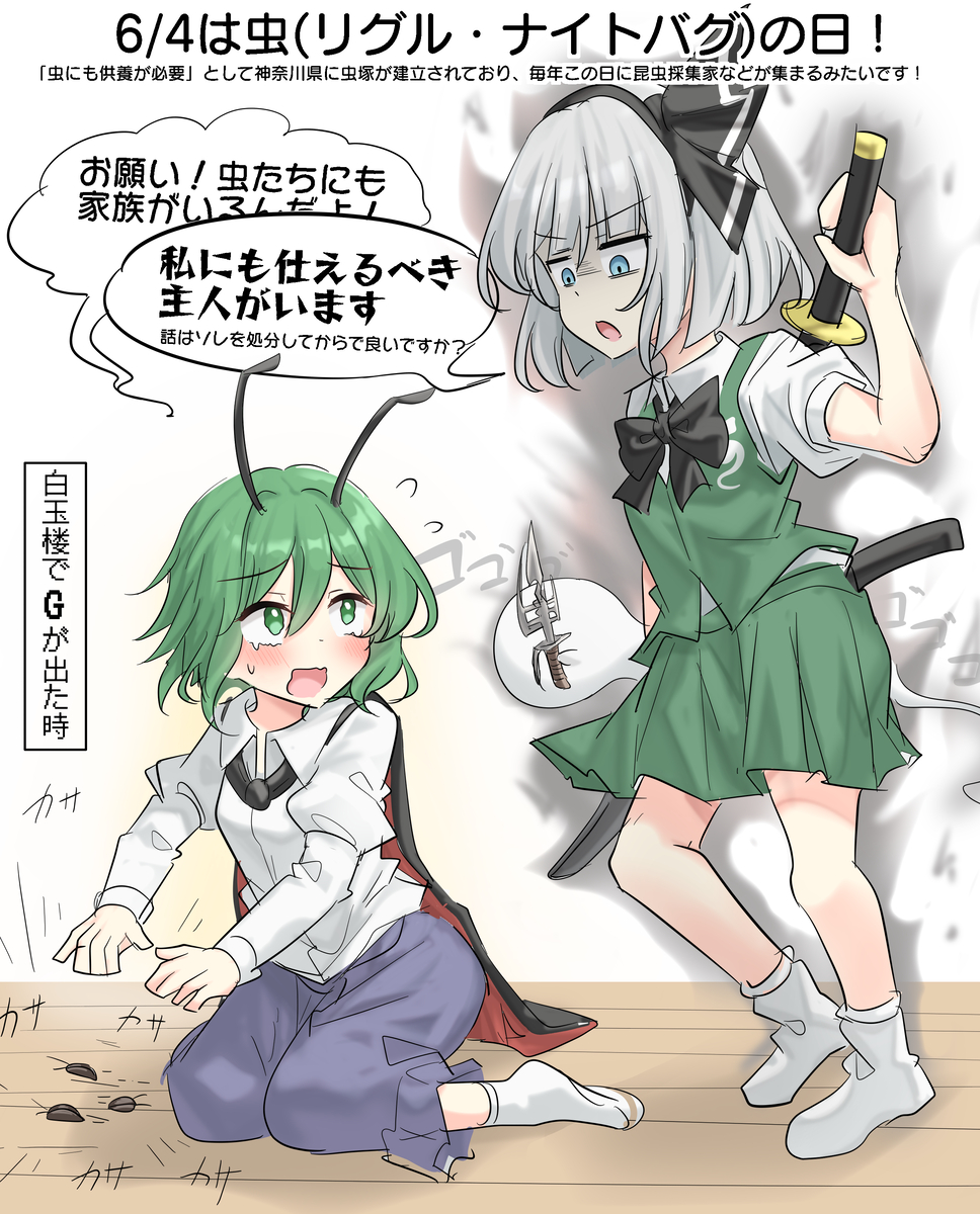 This is a pixiv picture whose title is 6/4は虫(リグル・ナイトバグ)の日！.
