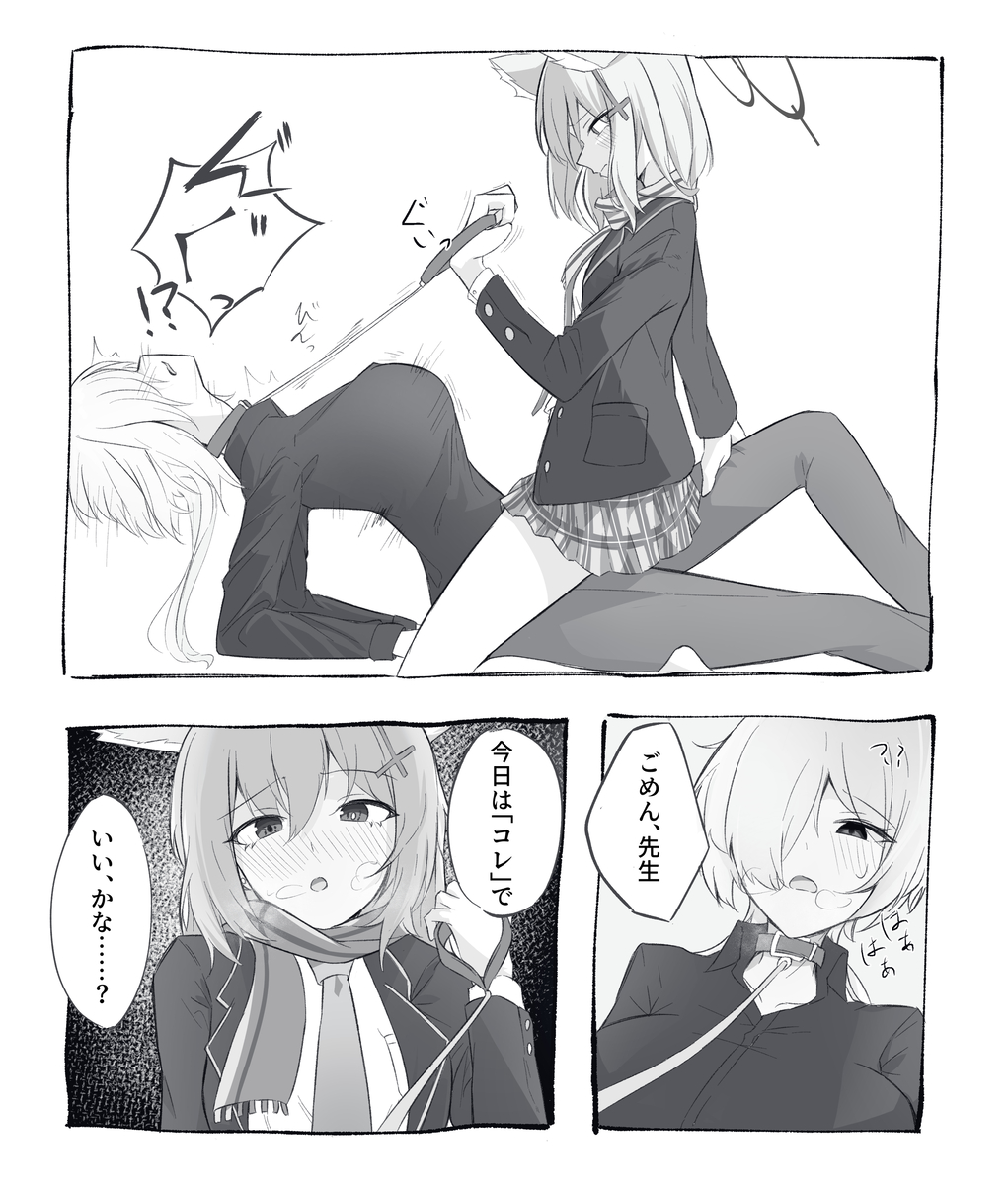 This is a pixiv picture whose title is シロコと女先生.
