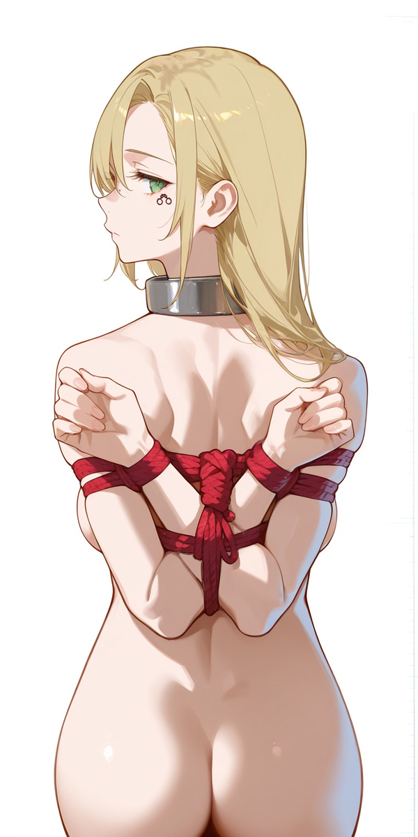 This is a pixiv picture whose title is 关于小说里出来的捆绑名词.