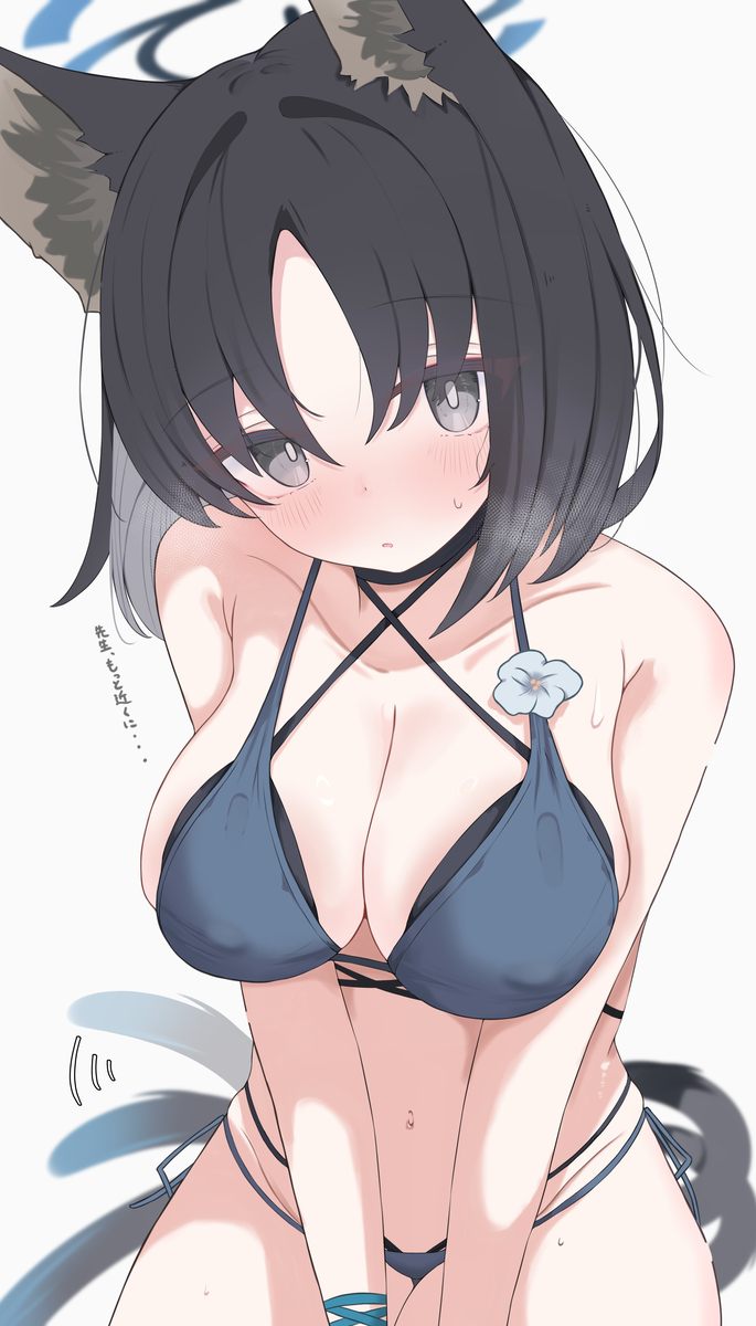 This is a pixiv picture whose title is キキョウ.