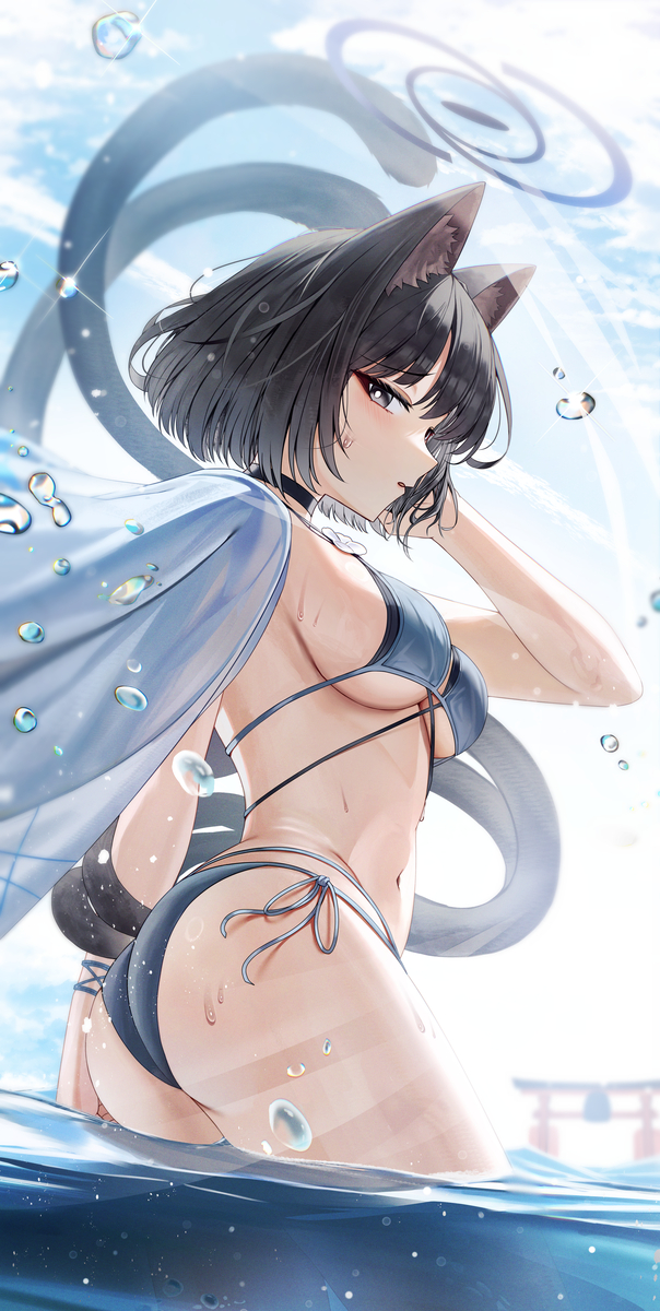This is a pixiv picture whose title is Water cat.