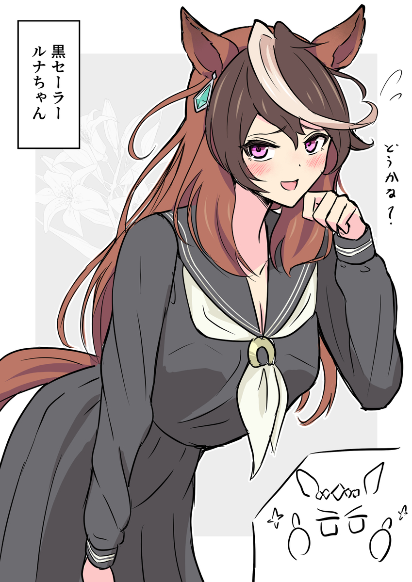 This is a pixiv picture whose title is 黒セーラールナちゃん.