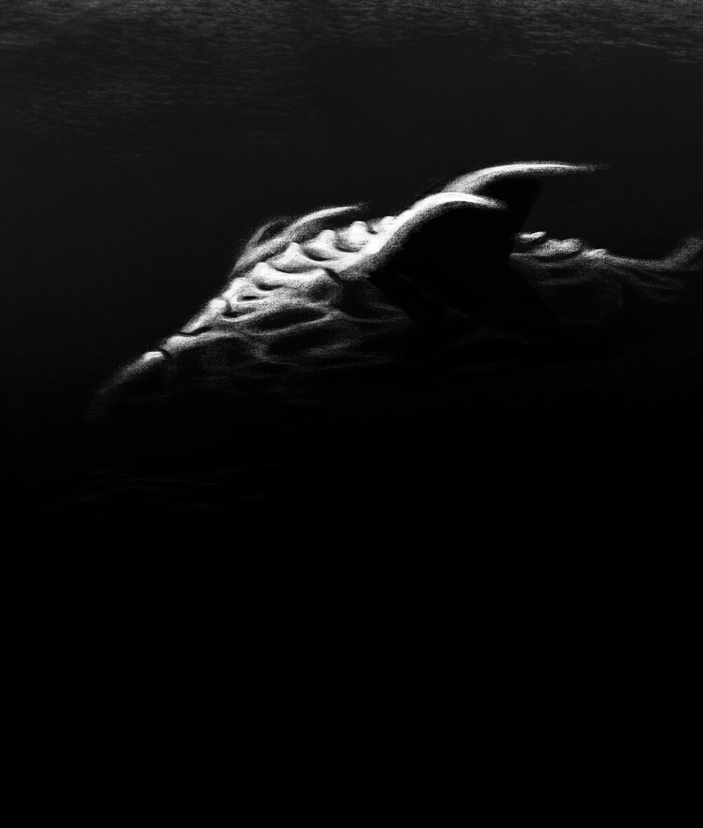 This is a pixiv picture whose title is Undersea.