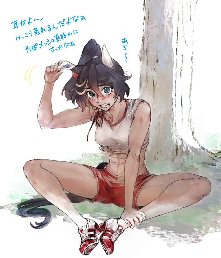 This is a pixiv picture whose title is 夏のメンコとエストレ♀さん.