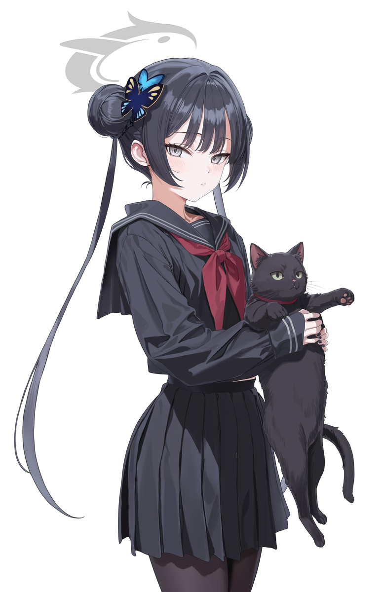 This is a pixiv picture whose title is セーラーキサキ.