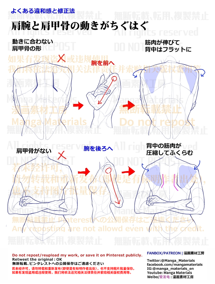 This is a pixiv picture whose title is 個人メモ：肩甲骨の動き.