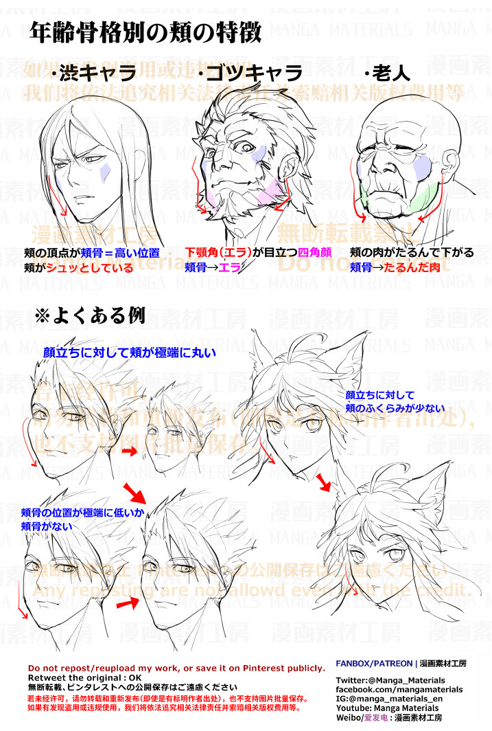 This is a pixiv picture whose title is 個人メモ：年齢骨格別の頬の特徴.
