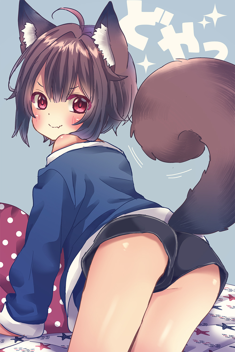 This is a pixiv picture whose title is 自慢のシッポだよ★.