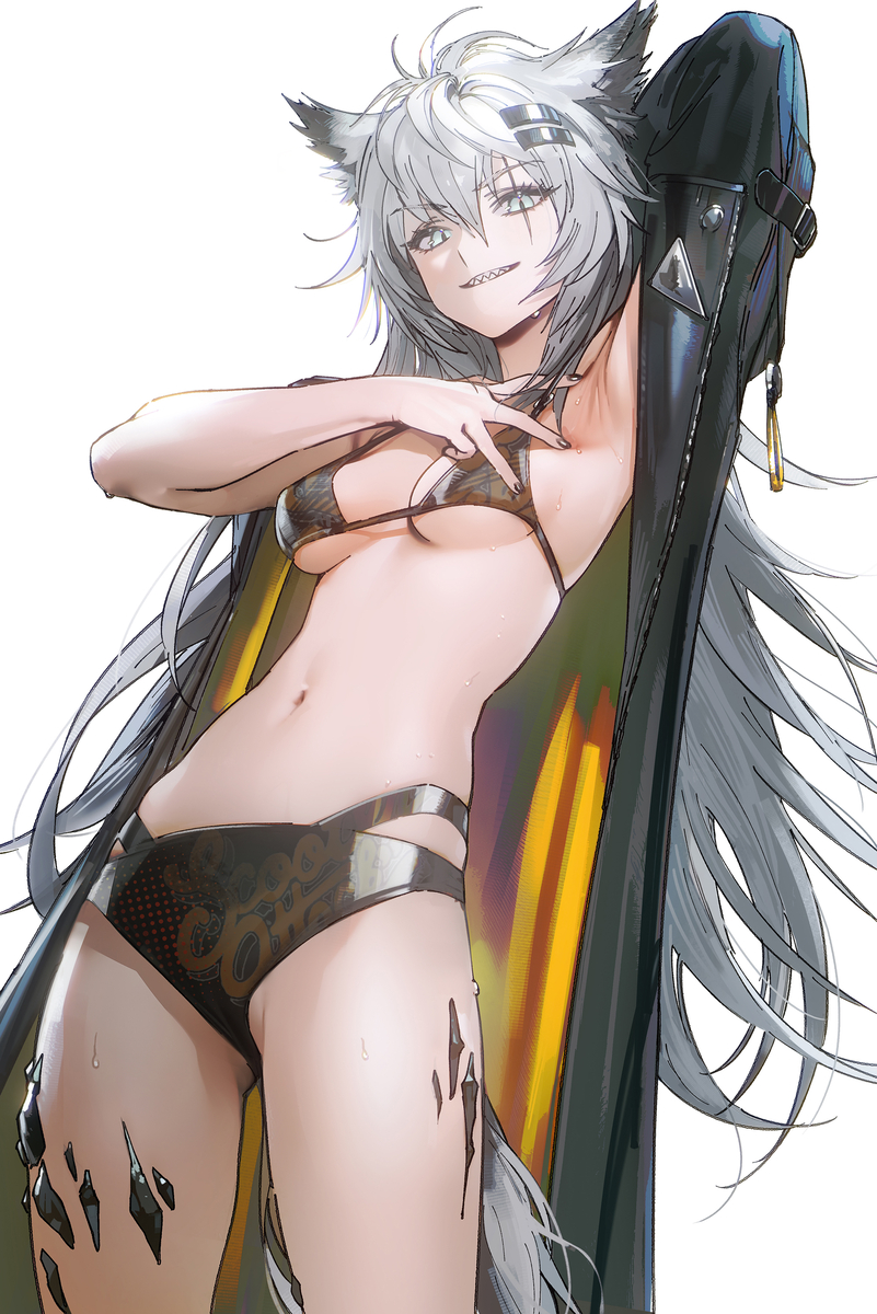 This is a pixiv picture whose title is Lappland.