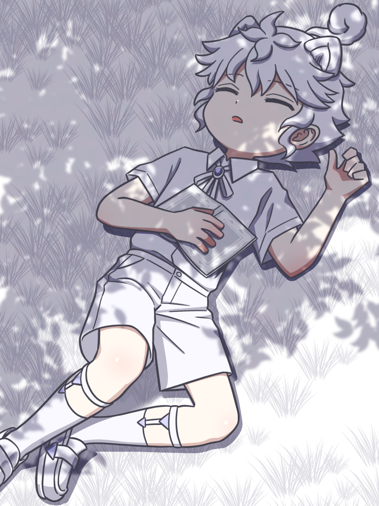 This is a pixiv picture whose title is 白のうたたね.