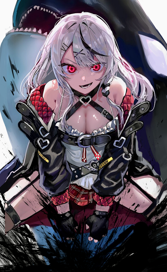 This is a pixiv picture whose title is 鯱の暗殺者.