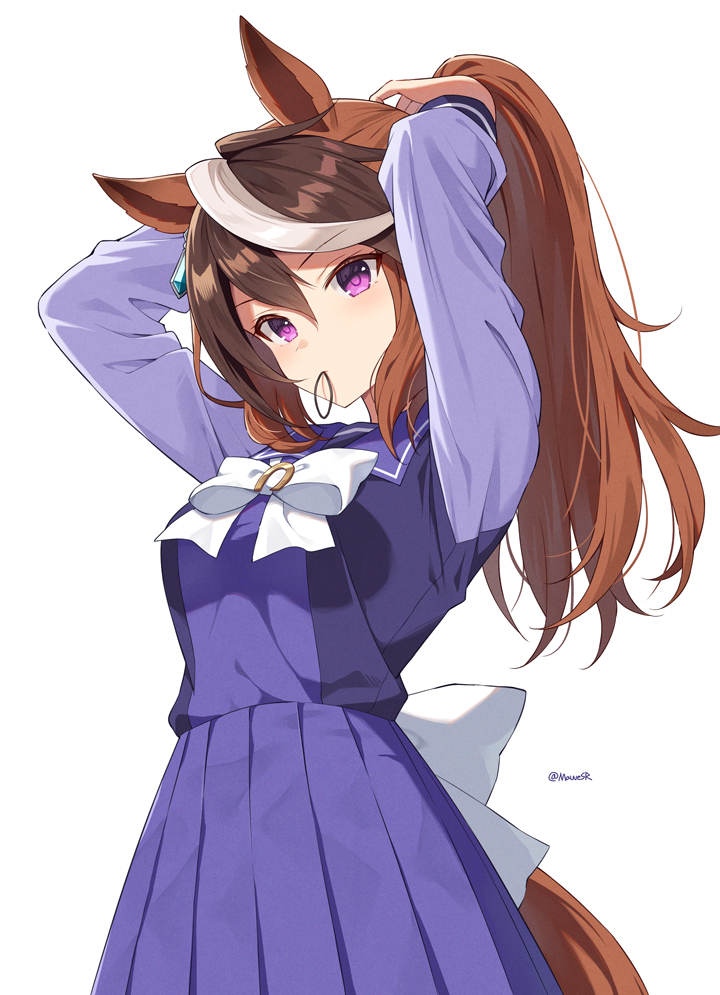 This is a pixiv picture whose title is ポニテ会長.