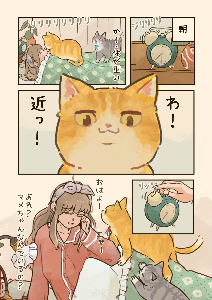 This is a pixiv picture whose title is 猫のいる朝🔅🐈.