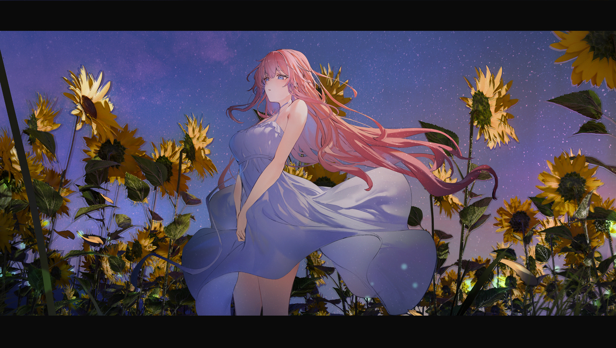This is a pixiv picture whose title is 夏の夜.