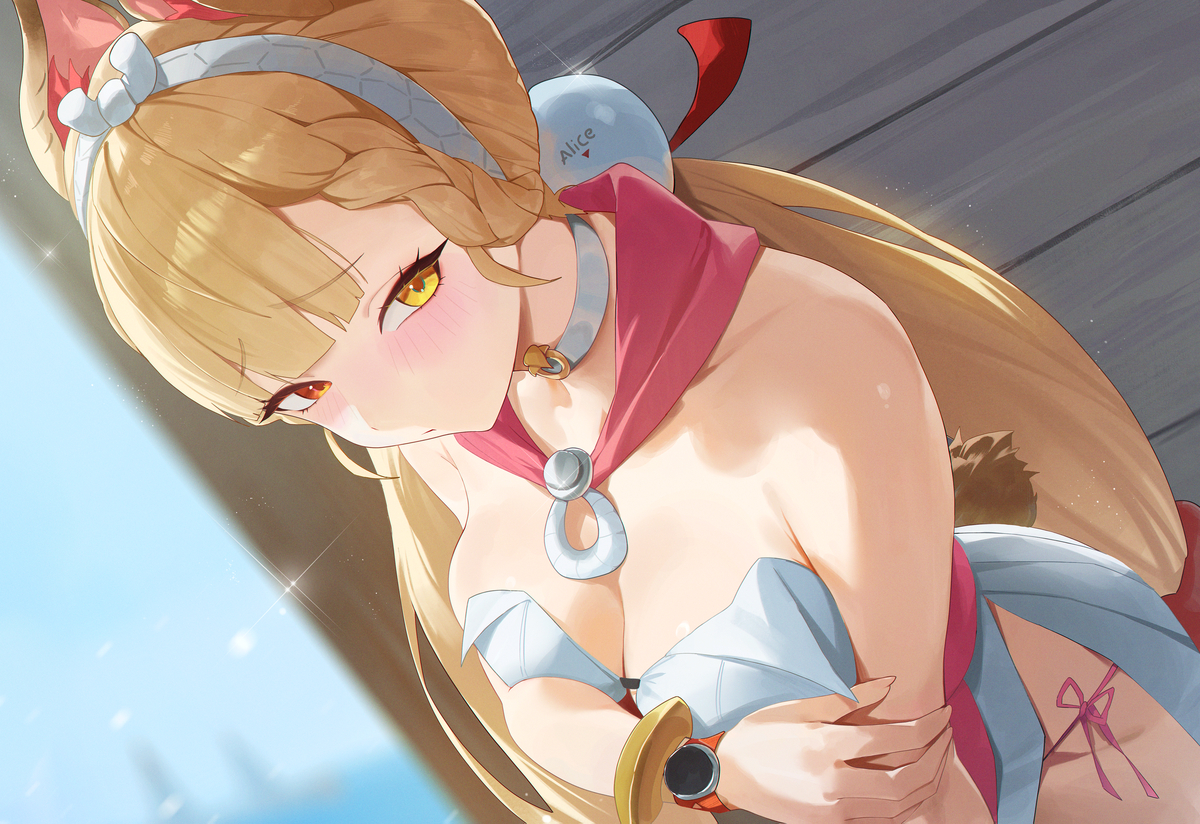 This is a pixiv picture whose title is Alice.
