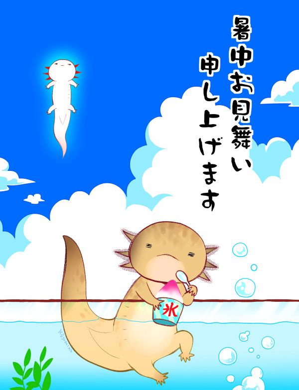 This is a pixiv picture whose title is 暑中見舞い∋(・Ａ・)∈.