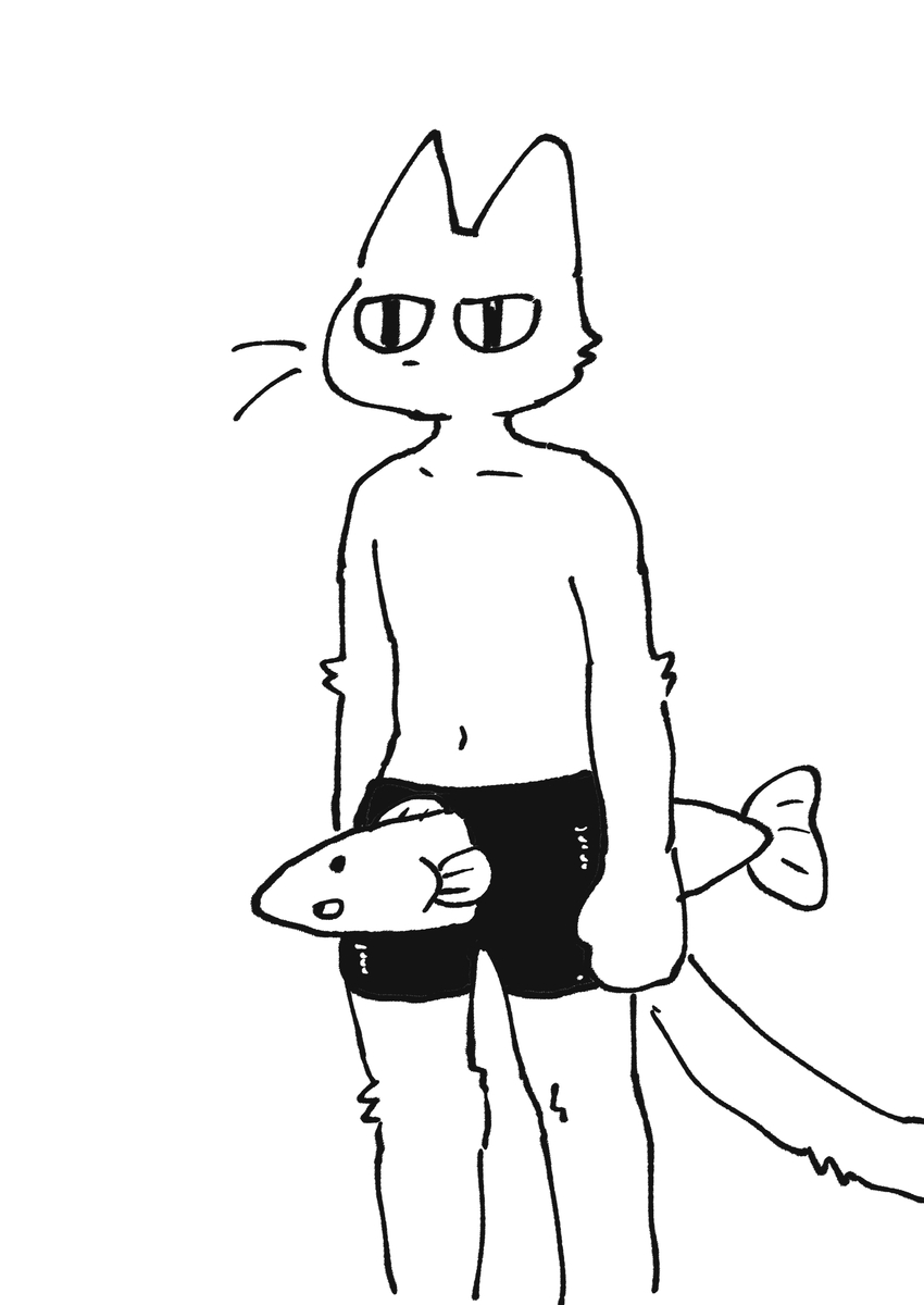 This is a pixiv picture whose title is ねこ＋さかな.