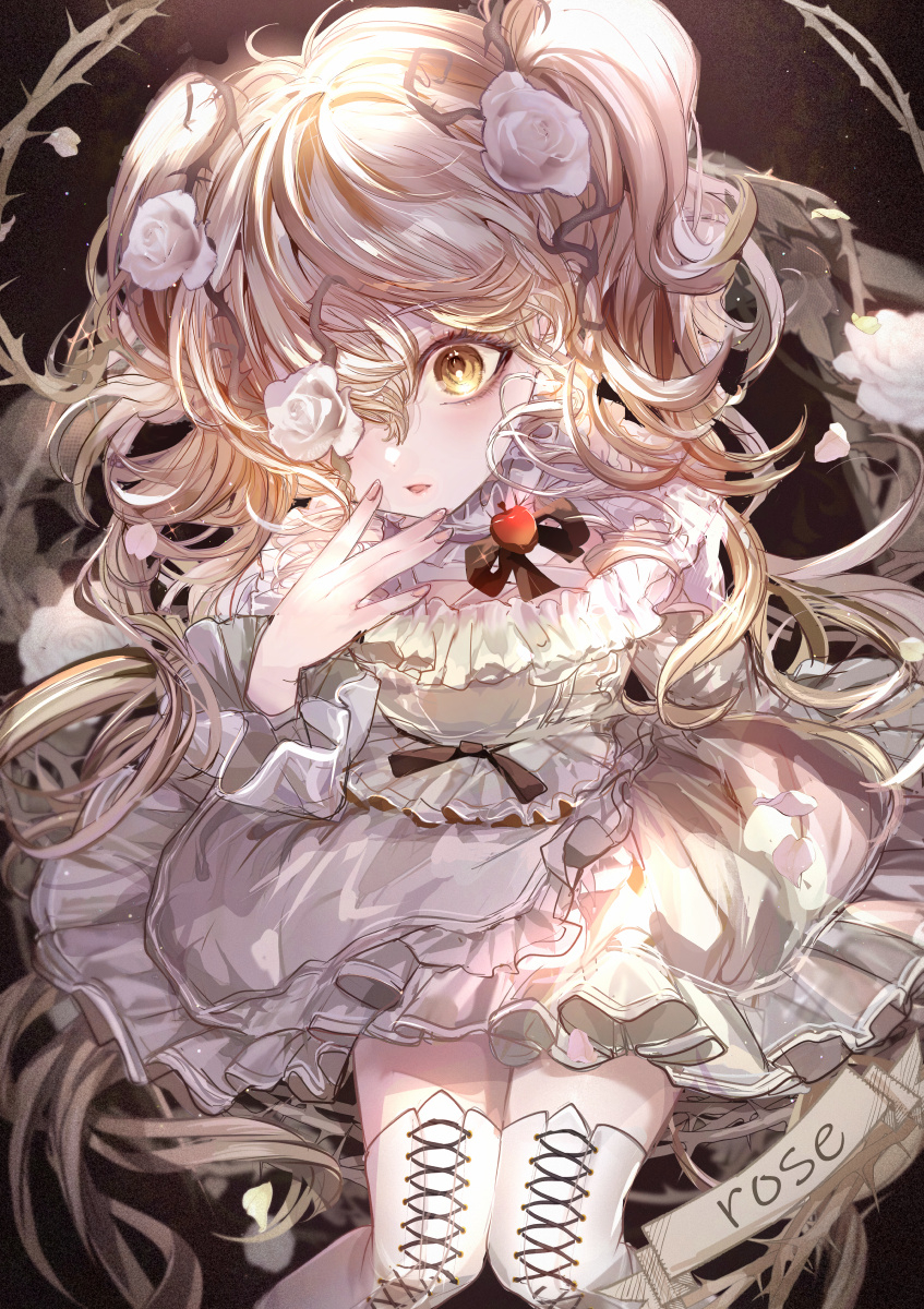 This is a pixiv picture whose title is アンティーク×クラシック🌹ローゼン雪華綺晶.