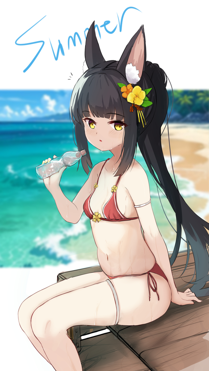 This is a pixiv picture whose title is 老婆的泳装.