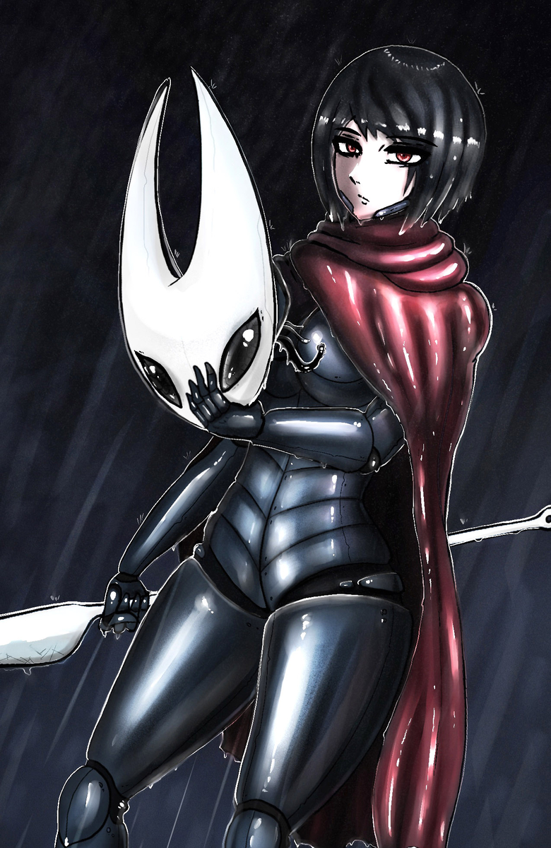 This is a pixiv picture whose title is Hornet.