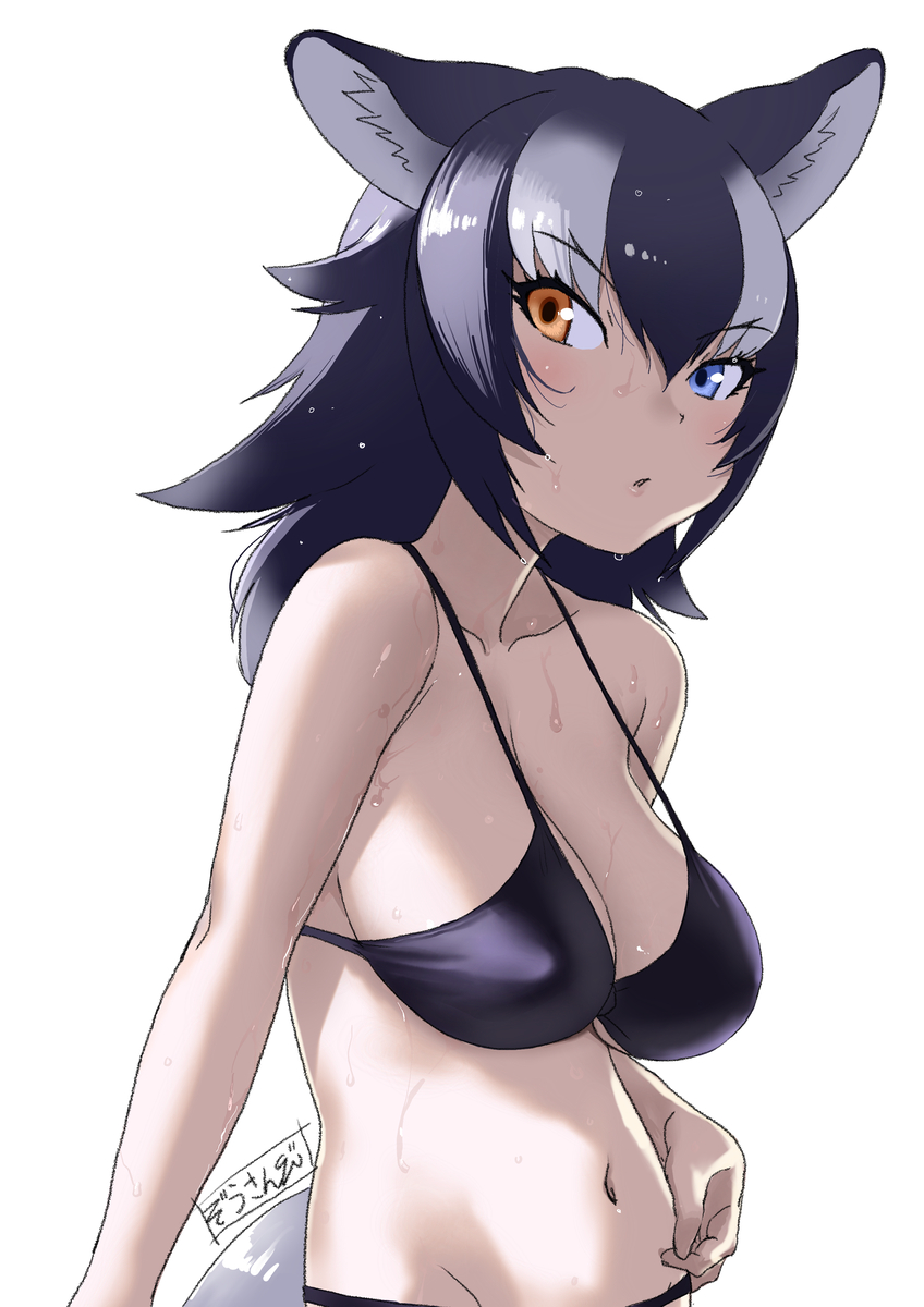 This is a pixiv picture whose title is 濡れタイリクオオカミさん❣️.