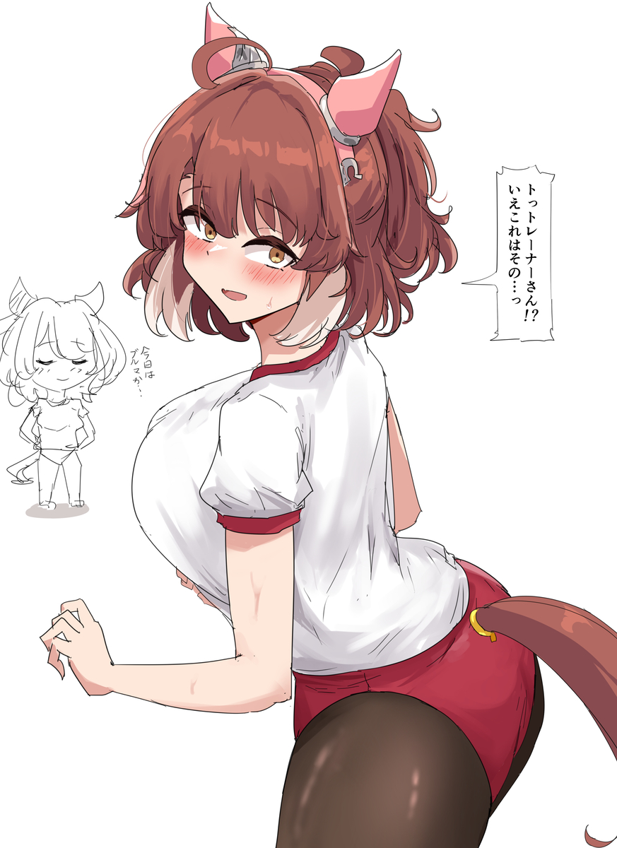 This is a pixiv picture whose title is ブルダン.