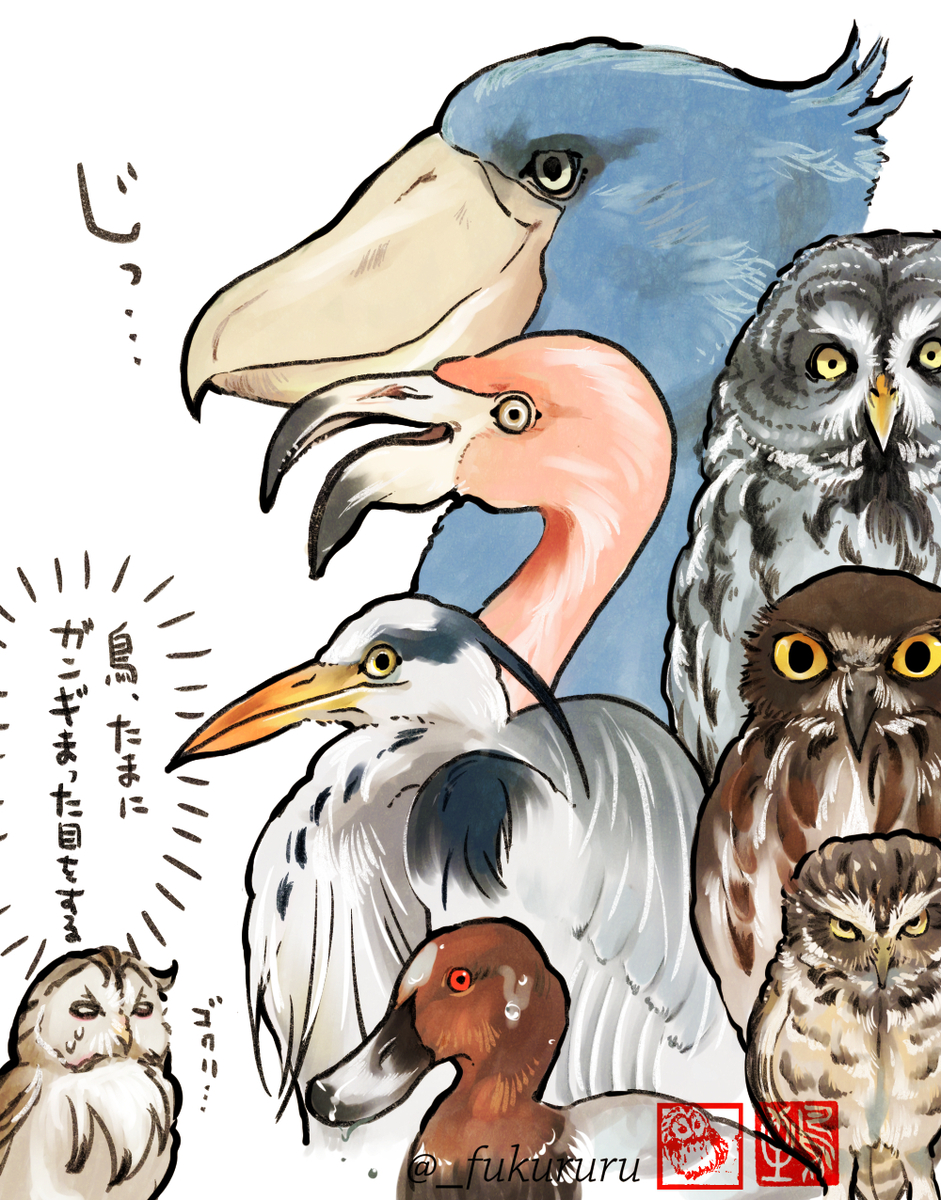 This is a pixiv picture whose title is 「鳥を観察する時、鳥もまたこちらを観察しているのだ…🦉」.