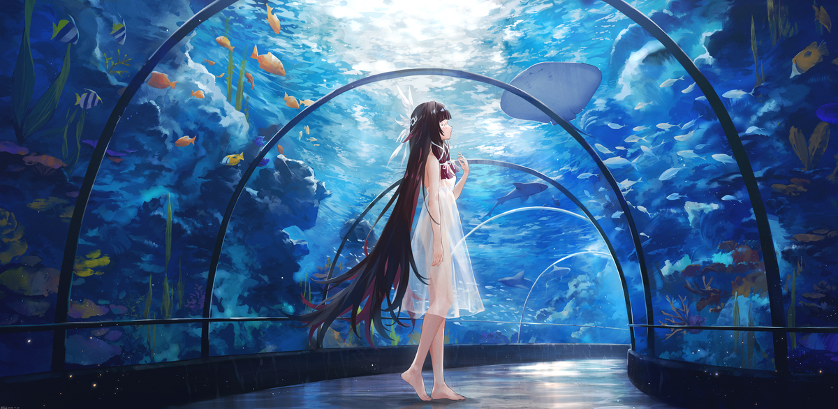 This is a pixiv picture whose title is :D.