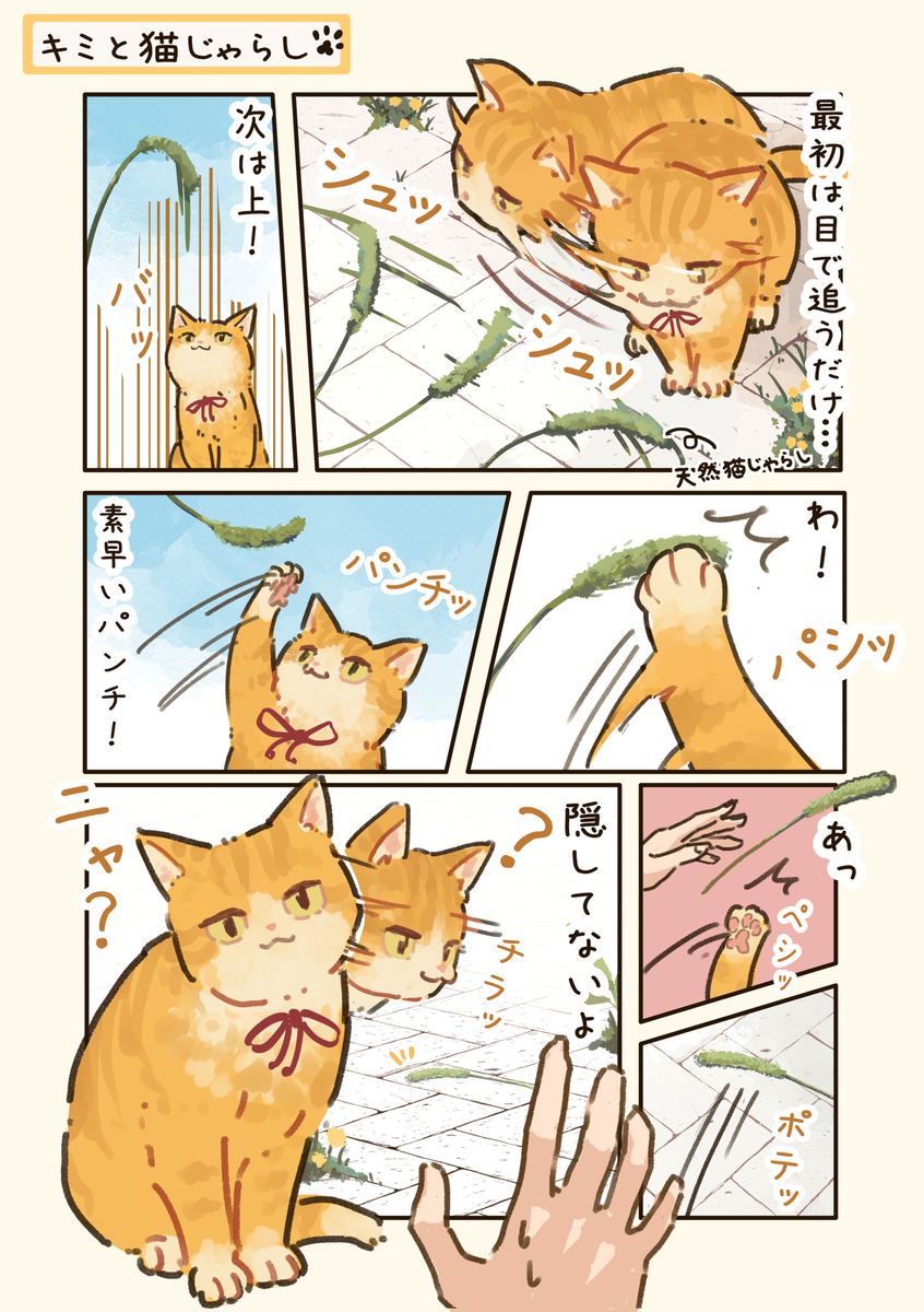 This is a pixiv picture whose title is キミと猫じゃらし🐈.