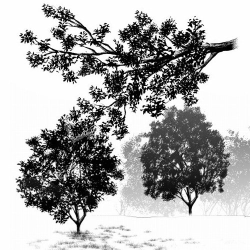 This is a pixiv picture whose title is 黒葉ブラシ01（中遠景用）.