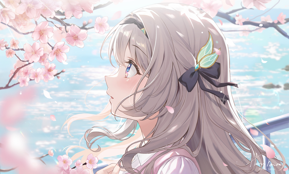 This is a pixiv picture whose title is Cherry Blossoms.