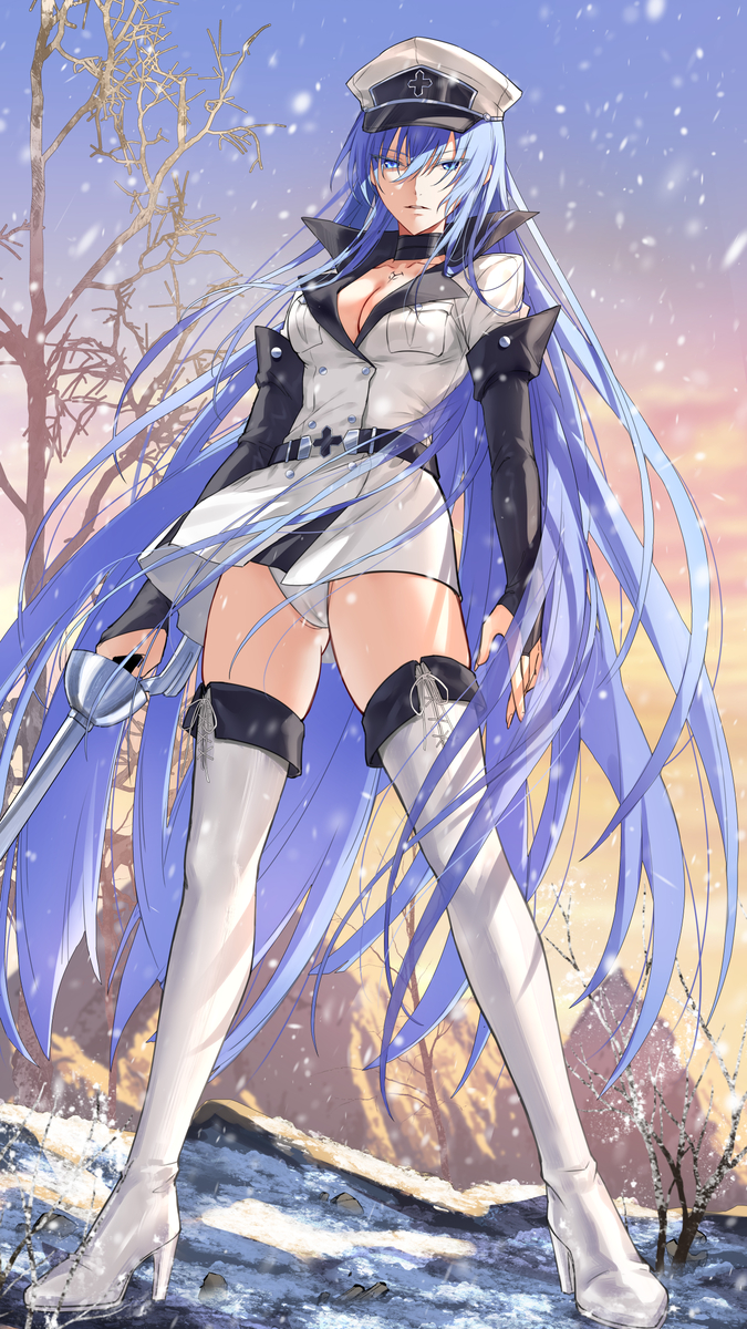 This is a pixiv picture whose title is 艾斯德斯.