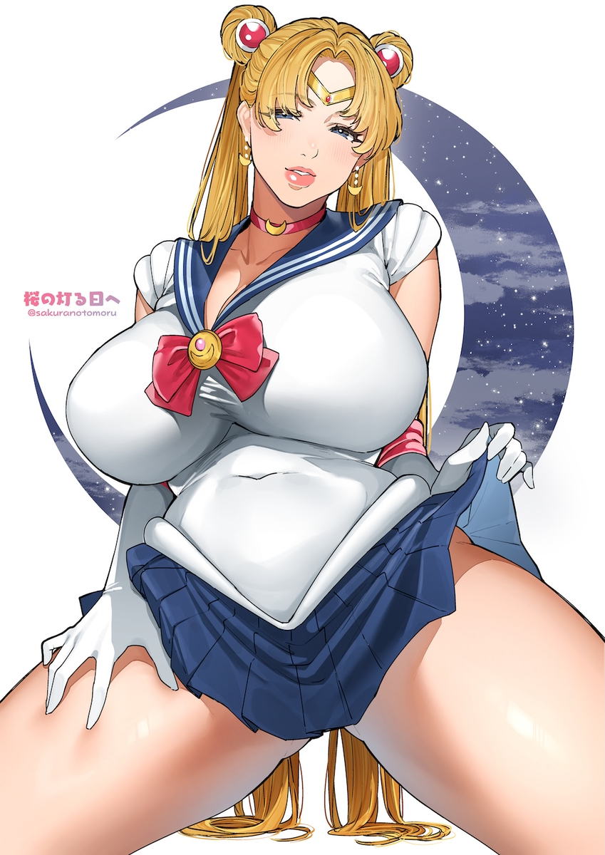 This is a pixiv picture whose title is セーラームーン🌕（Sailor Moon）.