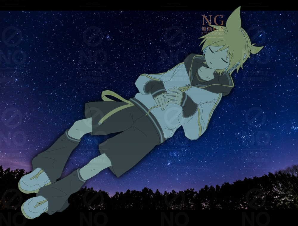 This is a pixiv picture whose title is 星空に願いを込めて -Good Night-.