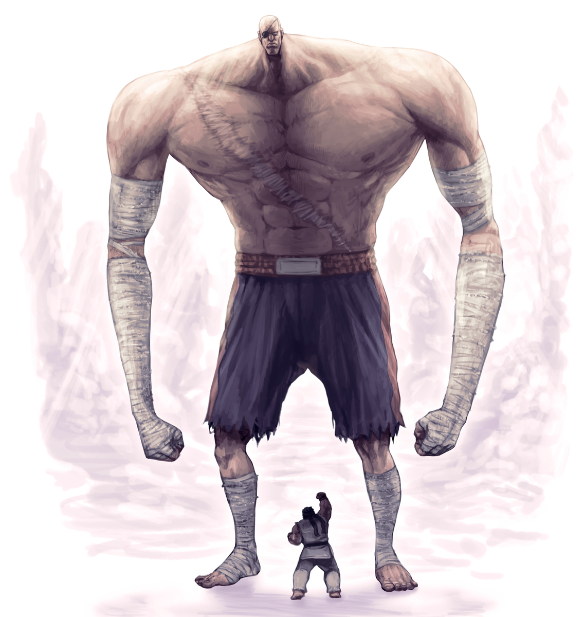 This is a pixiv picture whose title is サガット ( スト9 ).