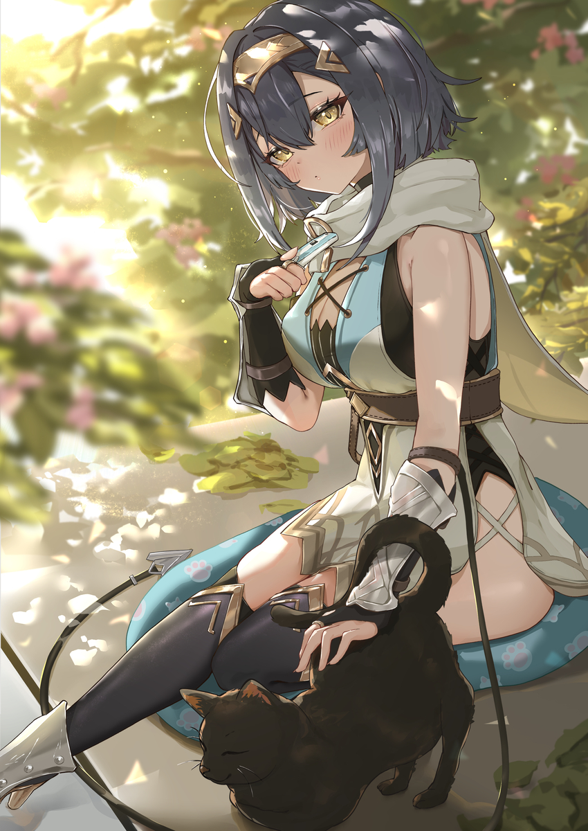 This is a pixiv picture whose title is コハク🐈💕.