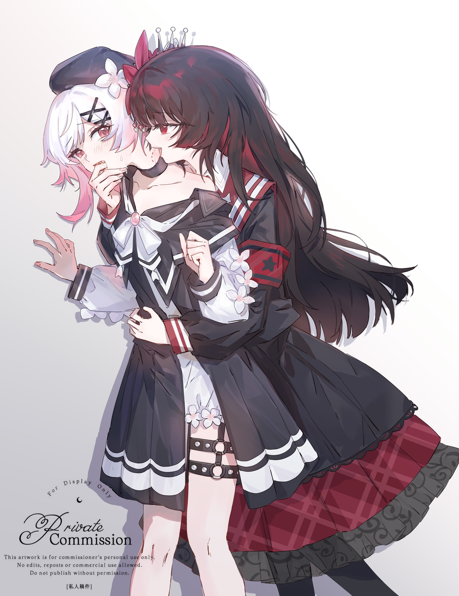 This is a pixiv picture whose title is 私人委托.