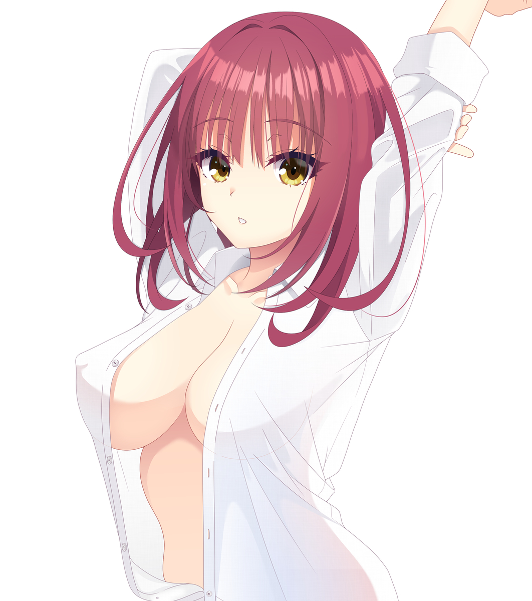 This is a pixiv picture whose title is 彼シャツ.