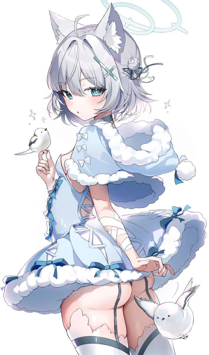 This is a pixiv picture whose title is シロコ.