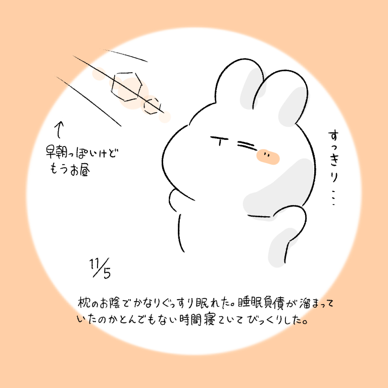 This is a pixiv picture whose title is 今日の日記.