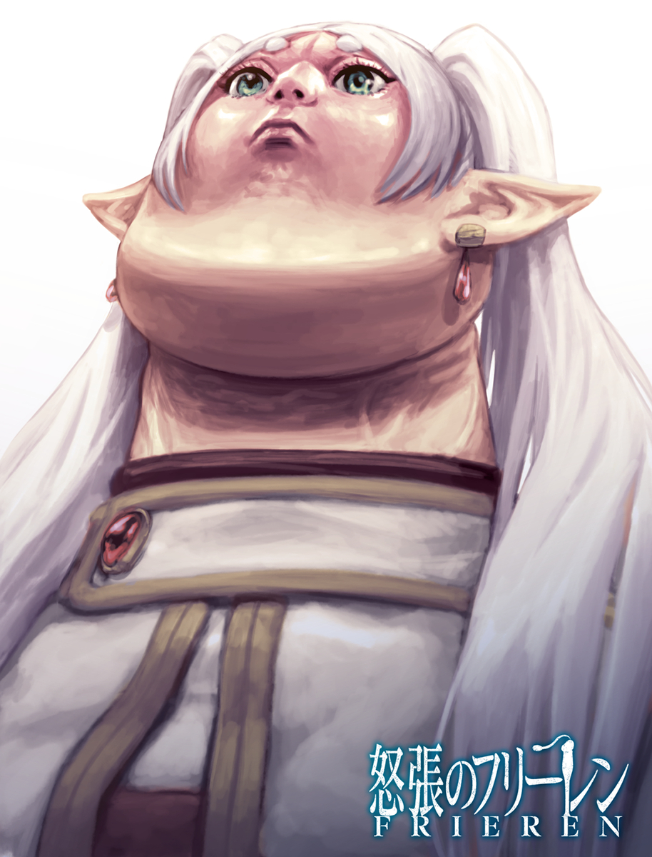 This is a pixiv picture whose title is 怒張のフリーレン.