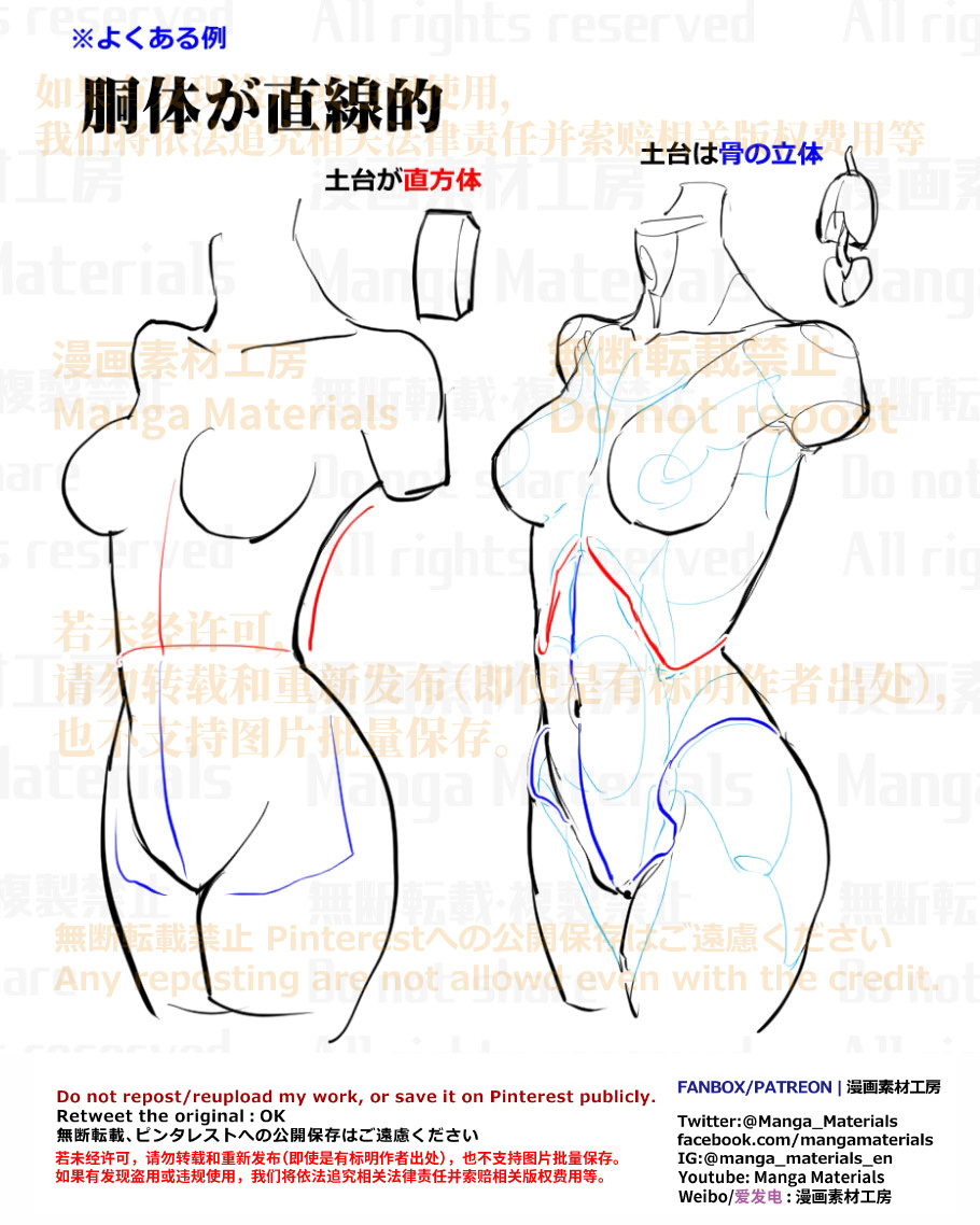 This is a pixiv picture whose title is 個人メモ：骨格基準の胴体.