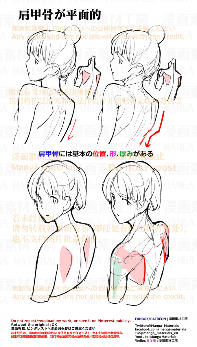 This is a pixiv picture whose title is 個人メモ：肩甲骨の筋肉変化.