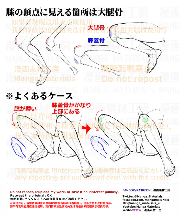 This is a pixiv picture whose title is 個人メモ：膝 / 大腿骨と膝蓋骨.
