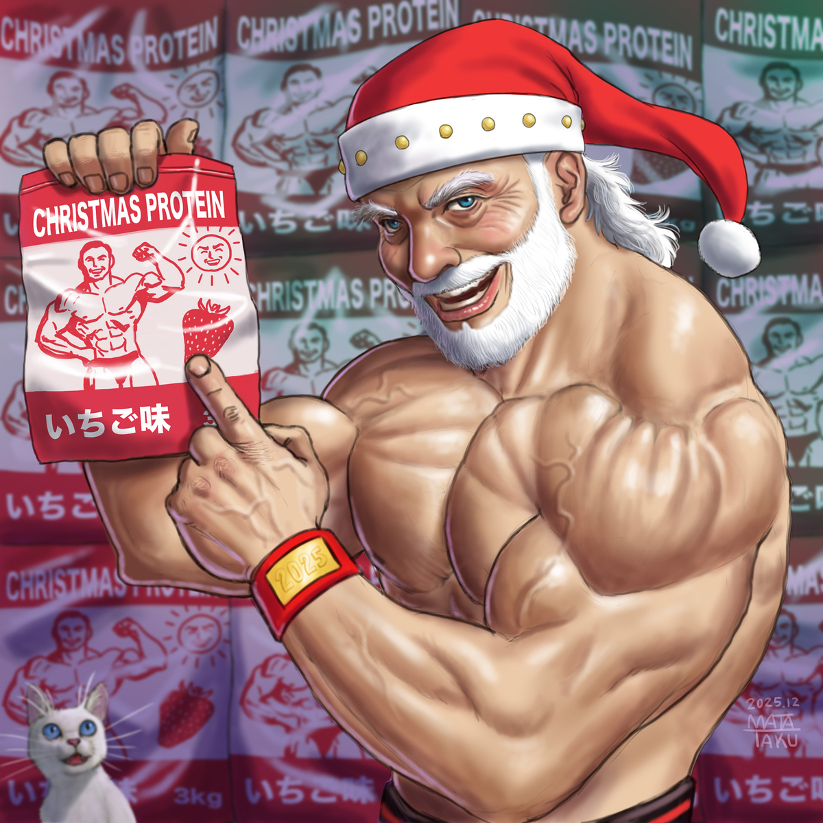 This is a pixiv picture whose title is クリスマス2025.