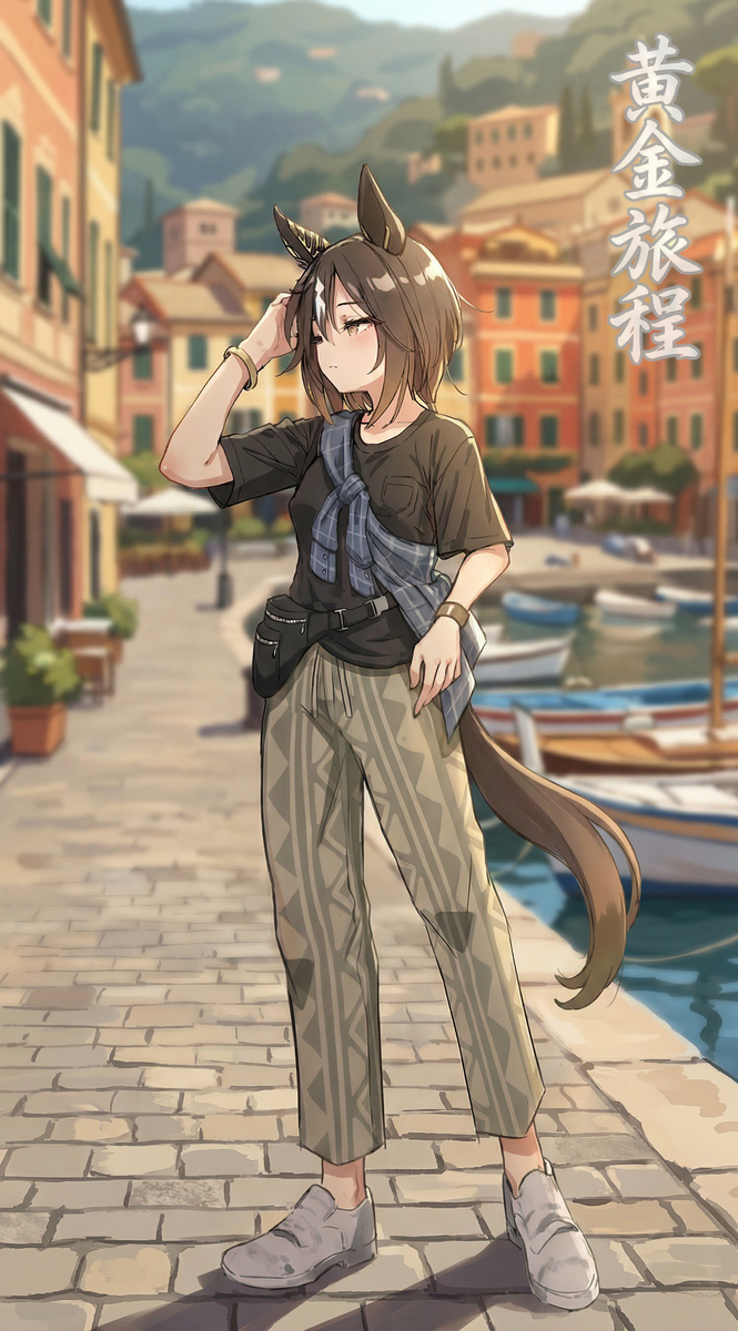 This is a pixiv picture whose title is もう一人の旅程.