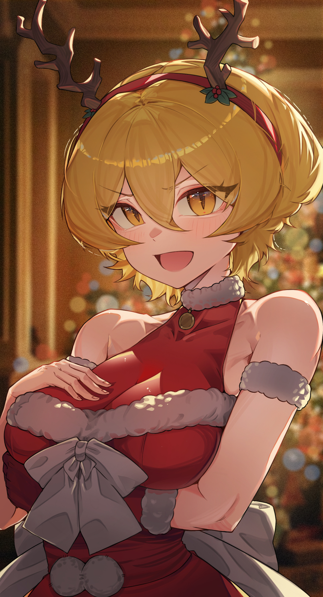 This is a pixiv picture whose title is クリスマス ドンキ.