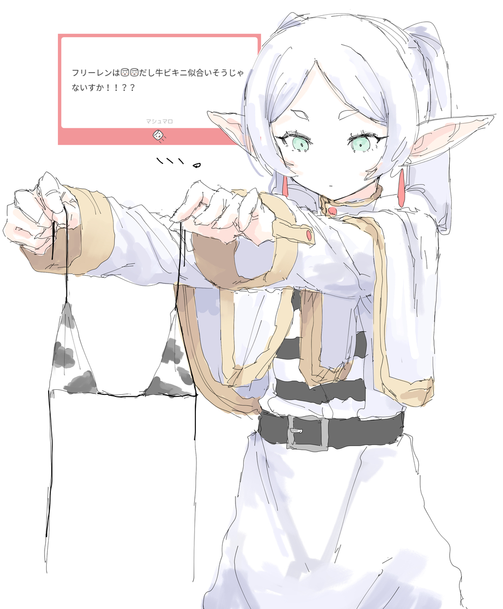 This is a pixiv picture whose title is フリーレン.