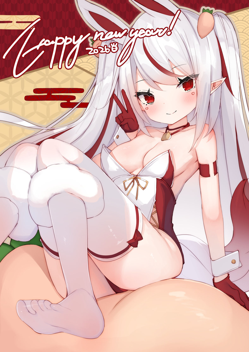 This is a pixiv picture whose title is あけましておめでとうございます🎍.